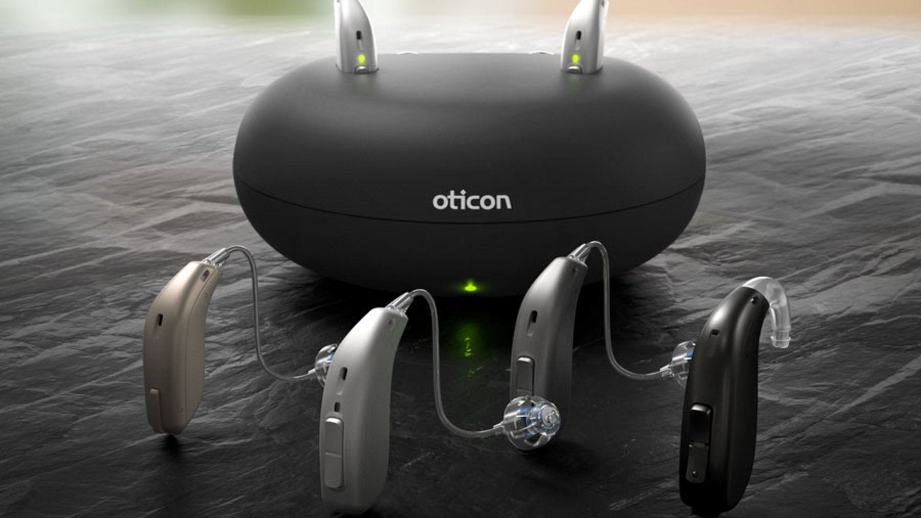 Customer case, Oticon, PIM system